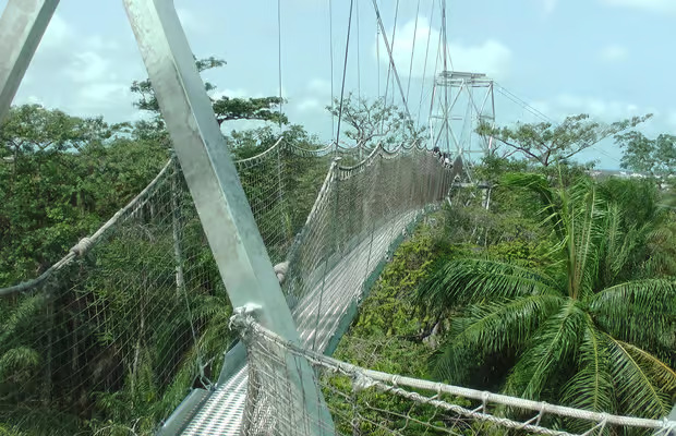 Lekki Conservation Center Extraordinary Tour